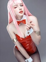 Shirogane-Sama Pantyhose Bunnysuit Cosplay